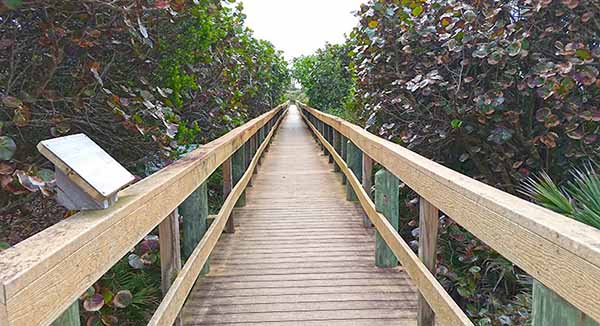 Board Walk