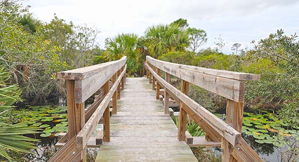 Wooden bridge over marsh Wooden bridge over marsh