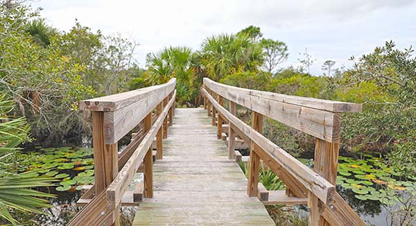 Wooden bridge over marsh