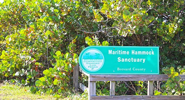 Maritime Hammock Sanctuary Sign