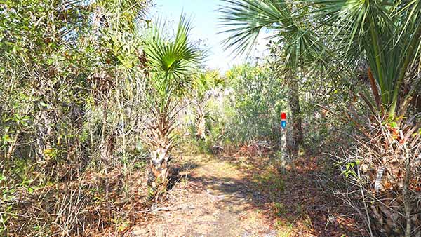 Marked hiking trail