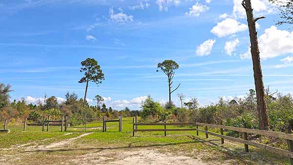 Wooden fence around sanctuary