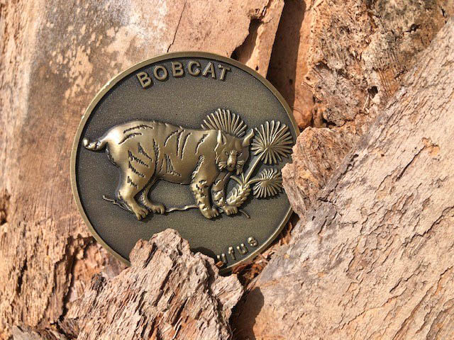 Coin engraved with a bobcat stuck in a tree.