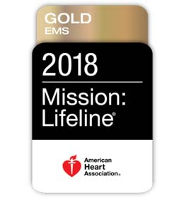 Gold E M S 2018 Mission Lifeline Award. American Heart Association.