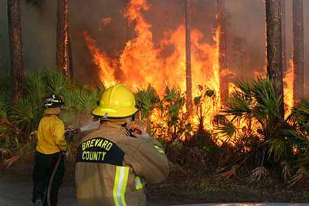 Firefighter spraying brush fire Firefighter spraying brush fire