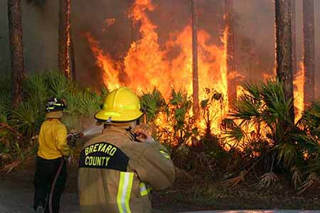 Firefighter spraying brush fire