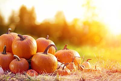 Pile of pumpkins on the ground.