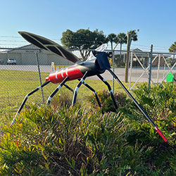 Brevard County mosquito control astar helicopter over marsh