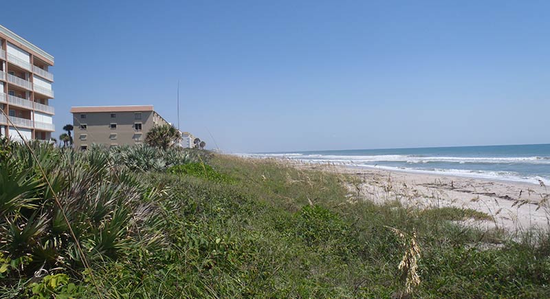 Condo now has a healthy dune with vegetation between it and the ocean.