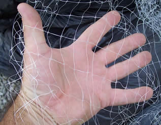 Hand holding monofilament netting