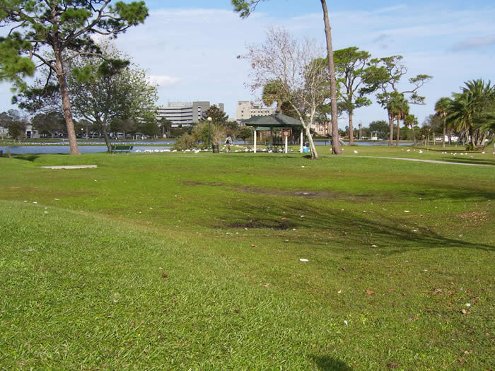 Brevard County Natural Resources Dry Detention Pond