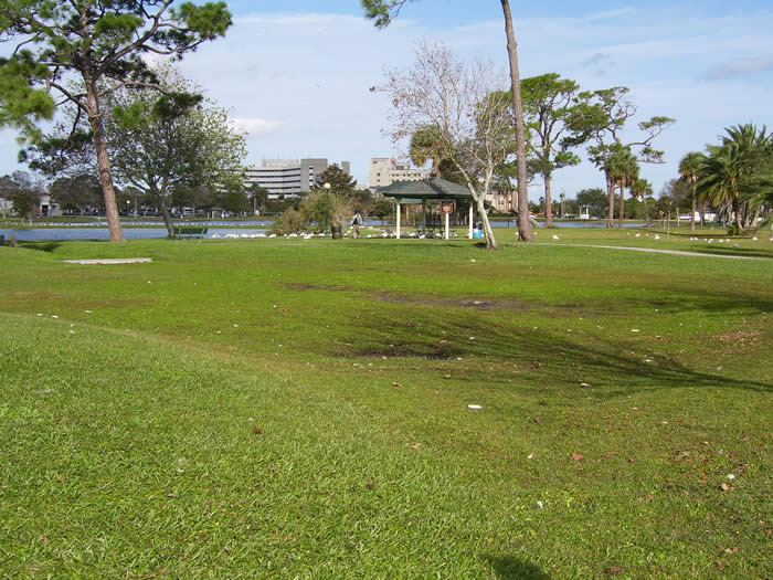 Brevard County Natural Resources Dry Detention Pond Brevard County Natural Resources Dry Detention Pond