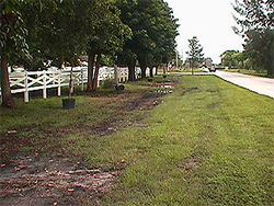 Brevard County Natural Resources Swales Brevard County Natural Resources Swales