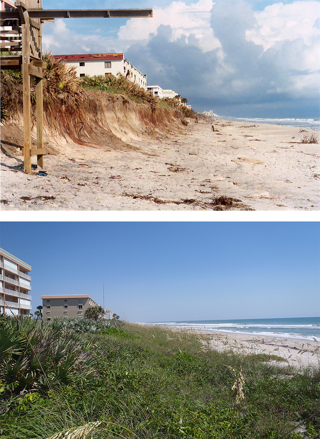 Brevard County Shore Protection - Mid Reach Before and After Brevard County Shore Protection - Mid Reach Before and After