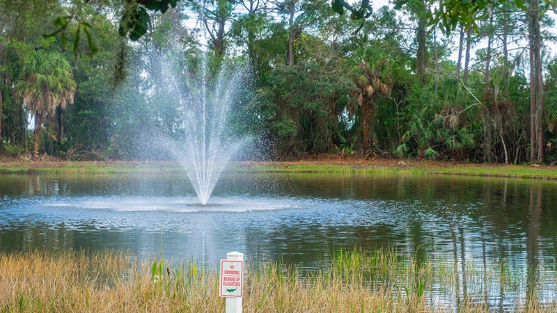 Fountain in a small wet detention pond.