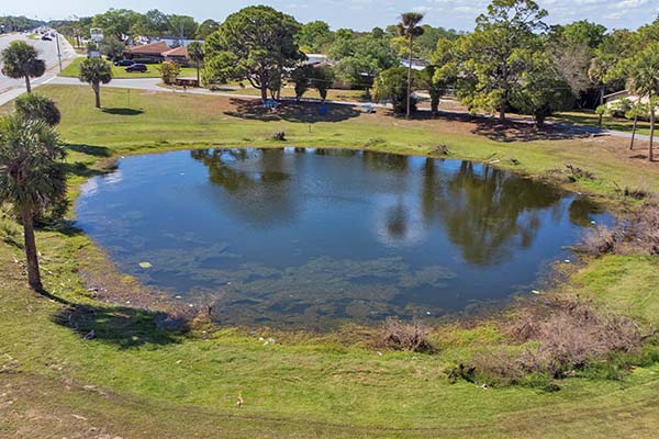 Aerial view of pond