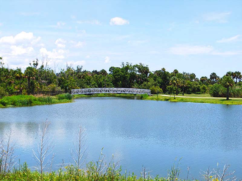 Bridge over lake