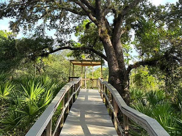 Wood Walkway Wood Walkway