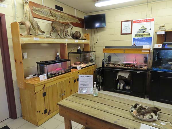 Exhibit of local wildlife Exhibit of local wildlife