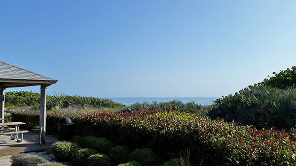 Pavilion and dune vegetation