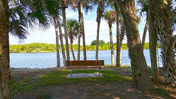 Bench facing river