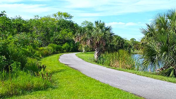 Paved trail through the brush