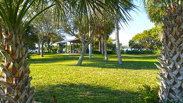 Pavilion surrounded by palm trees