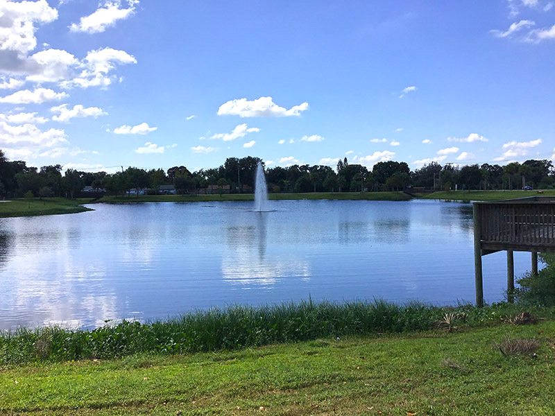 Fountain in pond