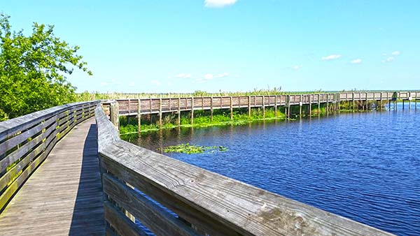 Wooden walkway next to the water