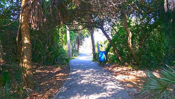 Path Path through trees