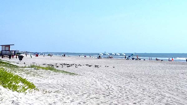 Beach with lifeguard shack