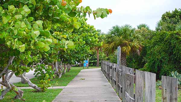 Side Walk Side Walk