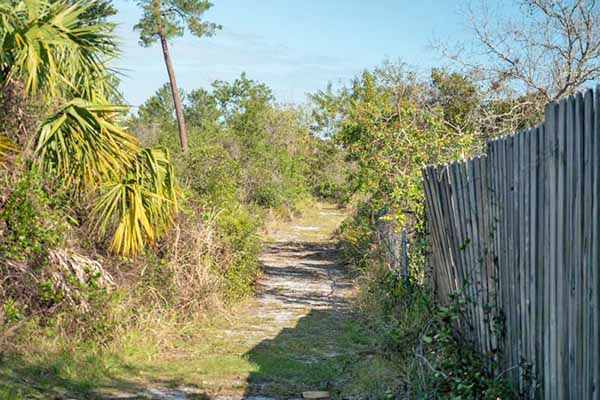 Walking trail along fence