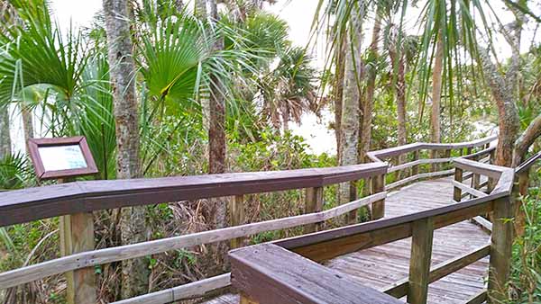 Boardwalk winding through woods