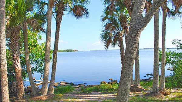 View of river from park