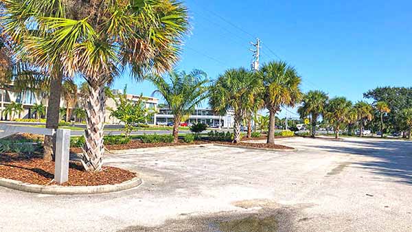 Parking area with palm trees