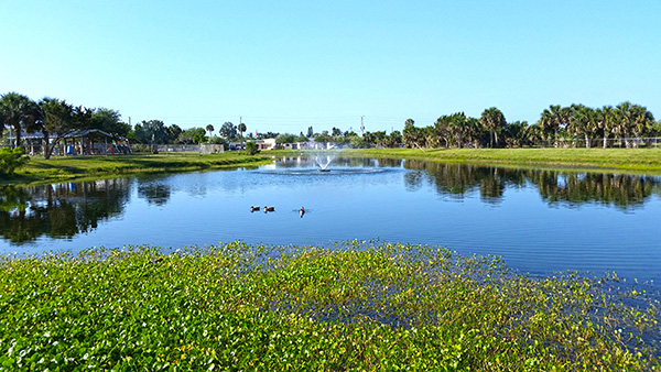 Pond with fountain Pond with fountain