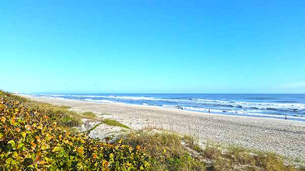 Ocean view Ocean view