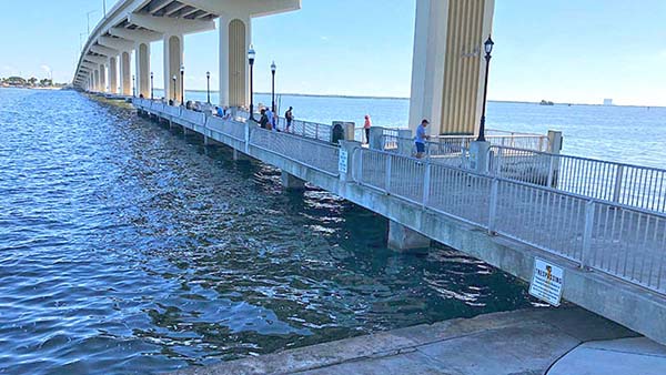 People fishing from small pier   