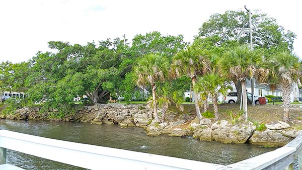 View of riverfront from dock