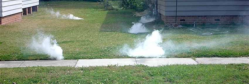 Smoke rising from the ground in someone's yard.