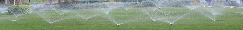 Garden sprinkler while watering a green lawn.